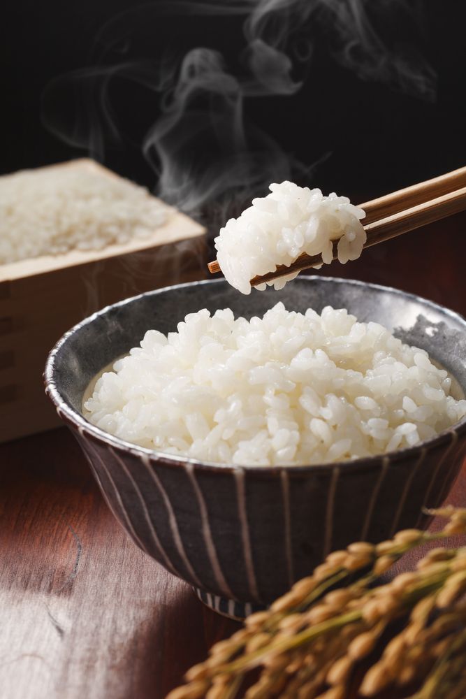best japanese rice cooker